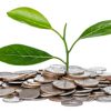 Financial Sustainability and Your Nonprofit
