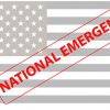 National Emergency Declaration Allows Employers to Offer Tax-Free Payments to Employees