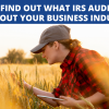 Want to find out what IRS auditors know about your business industry?